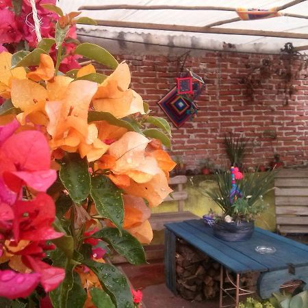Hostal Nahui Ollin San Cristobal de las Casas Ngoại thất bức ảnh