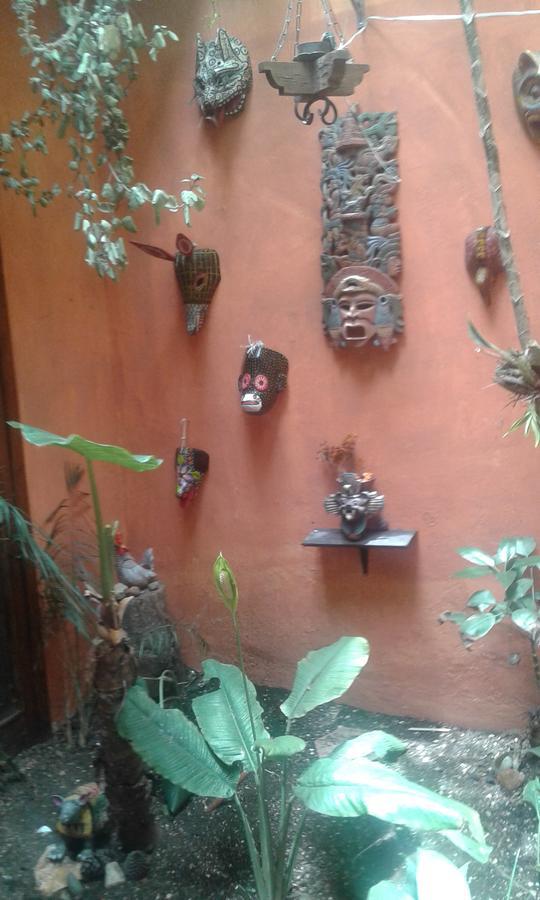 Hostal Nahui Ollin San Cristobal de las Casas Ngoại thất bức ảnh