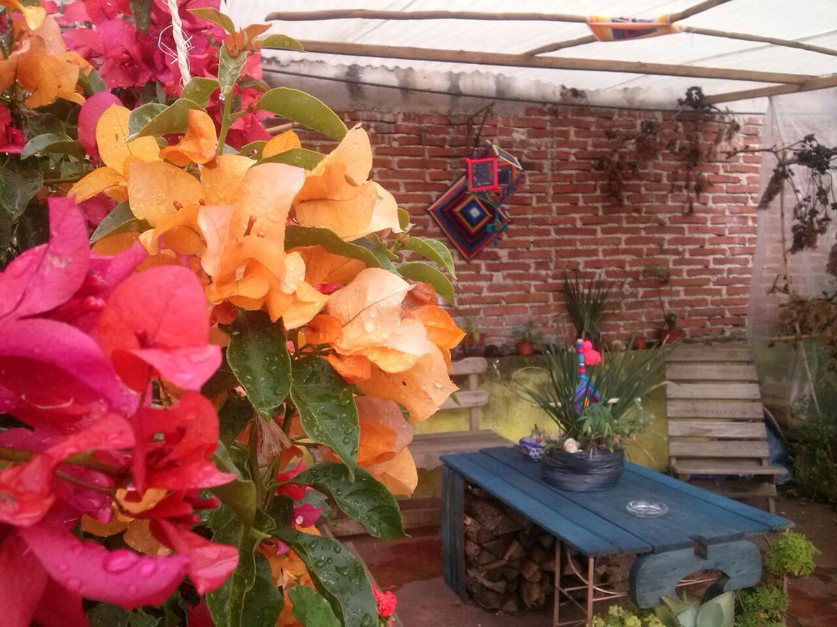 Hostal Nahui Ollin San Cristobal de las Casas Ngoại thất bức ảnh